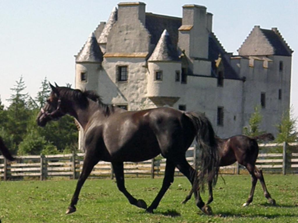 Faside Estate Bed & Breakfast Musselburgh Bagian luar foto